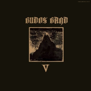 Budos Band - V i gruppen VINYL / World Music hos Bengans Skivbutik AB (3519996)