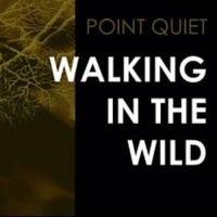 Point Quiet - Walking In The Wind i gruppen VINYL / Pop hos Bengans Skivbutik AB (3522497)