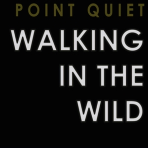 Point Quiet - Walking In The Wind i gruppen CD / Pop-Rock hos Bengans Skivbutik AB (3522498)
