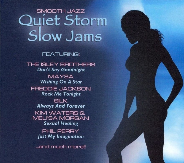 Various Artists - Quiet Storm Slow Jams i gruppen CD / Toppsäljare hos Bengans Skivbutik AB (3529599)