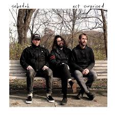 Sebadoh - Act Surprised (Col.Vinyl) i gruppen VINYL / Pop-Rock hos Bengans Skivbutik AB (3533088)