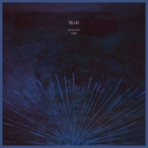 Irah - Diamond Grid i gruppen VINYL / Dansk Musik,Pop-Rock hos Bengans Skivbutik AB (3533608)