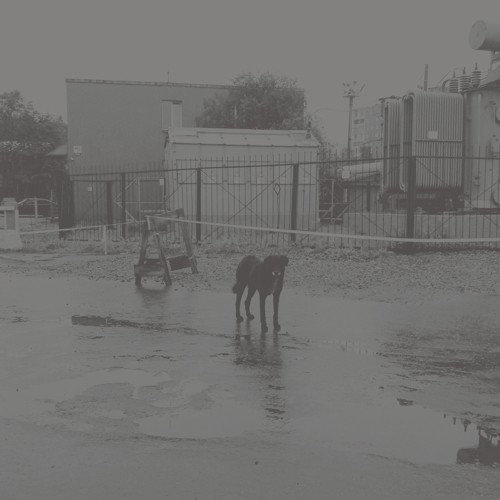 Nivhek - After Its Own Death/Walking i gruppen VINYL / Rock hos Bengans Skivbutik AB (3542430)