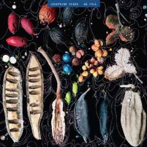 Wiggs Josephine - We Fall i gruppen CD / Pop-Rock hos Bengans Skivbutik AB (3545218)