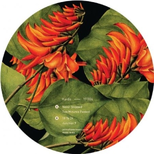 Kaido - Junction 9 i gruppen VINYL / Hip Hop hos Bengans Skivbutik AB (3545246)