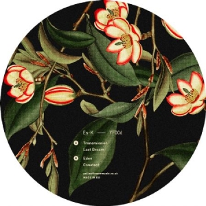 Es-K - Transmission i gruppen VINYL / Hip Hop hos Bengans Skivbutik AB (3545248)