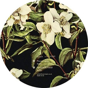Occult - Phoenix Lights i gruppen VINYL / Hip Hop hos Bengans Skivbutik AB (3545249)