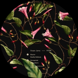 Ocean Jams - Glacier i gruppen VINYL / Hip Hop hos Bengans Skivbutik AB (3545250)