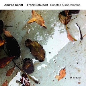 Schubert Franz - Sonatas & Impromptus i gruppen Externt_Lager / Naxoslager hos Bengans Skivbutik AB (3546828)
