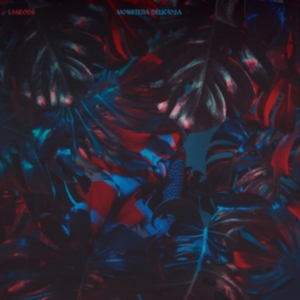 Laneous - Monstera Deliciosa i gruppen ÖVRIGT / Övrigt / aub hos Bengans Skivbutik AB (3548751)