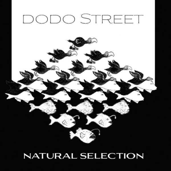 Various - Natural Selection i gruppen Externt_Lager / Naxoslager hos Bengans Skivbutik AB (3552078)