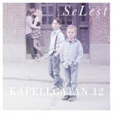 Selest - Kapellgatan 12 i gruppen VINYL / Pop hos Bengans Skivbutik AB (3563250)