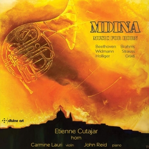 Various - Mdina - Music For Horn i gruppen Externt_Lager / Naxoslager hos Bengans Skivbutik AB (3566068)