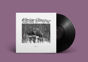 Bottenvikens Silverkyrka - Stadskyrkan i gruppen VINYL / Pop-Rock hos Bengans Skivbutik AB (3587162)