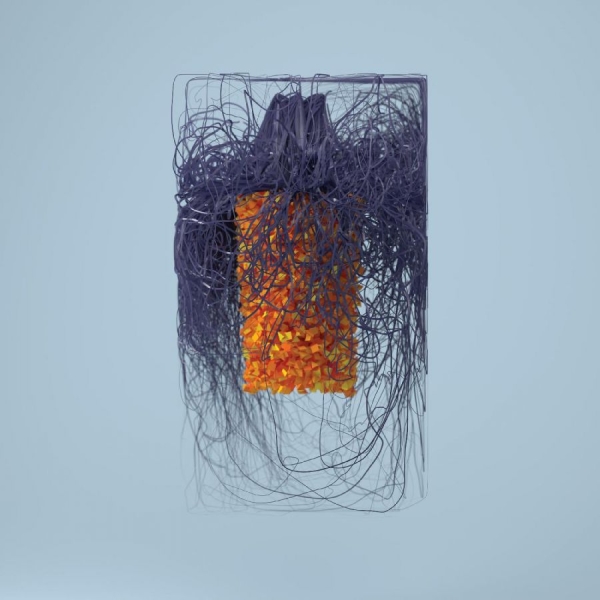 Plaid - Polymer i gruppen CD / Toppsäljare hos Bengans Skivbutik AB (3597237)