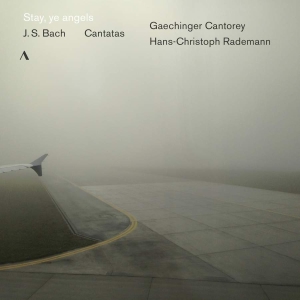 Bach J S - Stay, Ye Angels: Cantatas i gruppen Externt_Lager / Naxoslager hos Bengans Skivbutik AB (3597441)