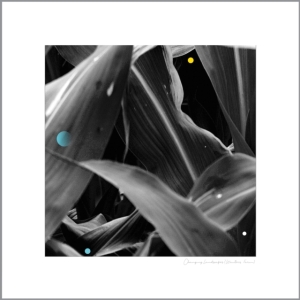 King Arthur - Changing Landscapes i gruppen VINYL / Pop-Rock hos Bengans Skivbutik AB (3599463)