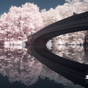 Noble Liam - Long Game i gruppen CD / Jazz hos Bengans Skivbutik AB (3603586)