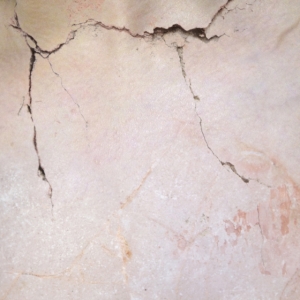 Metome - Shibboleth i gruppen ÖVRIGT / Övrigt / aub hos Bengans Skivbutik AB (3623589)