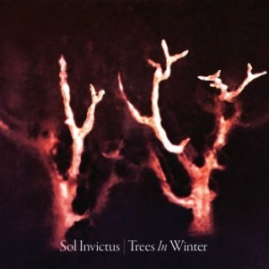 Sol Invictus - Trees In Winter i gruppen CD / Pop-Rock hos Bengans Skivbutik AB (3632104)