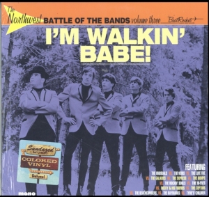 Various Artists - The Northwest Battle Of The Bands V i gruppen VINYL / Pop-Rock hos Bengans Skivbutik AB (3635085)