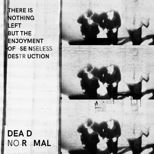 Dead Normal - There Is Nothing Left But The Enjoy i gruppen VINYL / Rock hos Bengans Skivbutik AB (3635193)