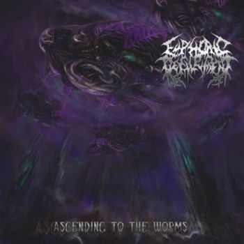 Euphoric Defilement - Ascending To The Worms i gruppen CD / Toppsäljare hos Bengans Skivbutik AB (3636569)