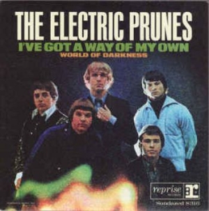 Electric Prunes - I've Got A Way Of My Own i gruppen VINYL / Rock hos Bengans Skivbutik AB (3637406)