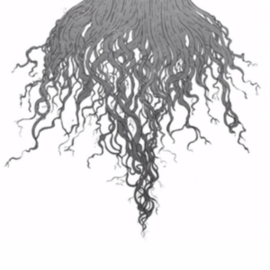 Meursault - Crow Hill i gruppen ÖVRIGT / Övrigt / aub hos Bengans Skivbutik AB (3639269)