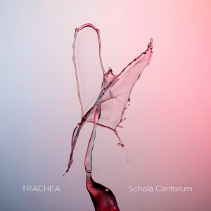 Various - Trachea (Blu-Ray Audio + Sacd) i gruppen MUSIK / Musik Blu-Ray / Klassiskt hos Bengans Skivbutik AB (3642892)