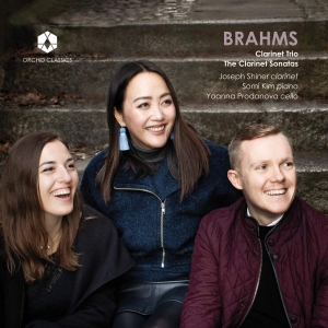 Brahms Johannes - Clarinet Trio & Clarinet Sonatas i gruppen Externt_Lager / Naxoslager hos Bengans Skivbutik AB (3645226)
