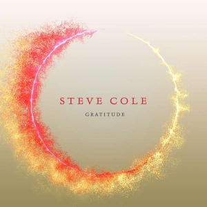 Cole Steve - Gratitude i gruppen CD / Jazz hos Bengans Skivbutik AB (3645238)