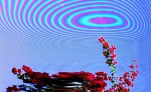 Friendly Fires - Inflorescent i gruppen CD / Pop-Rock hos Bengans Skivbutik AB (3648395)