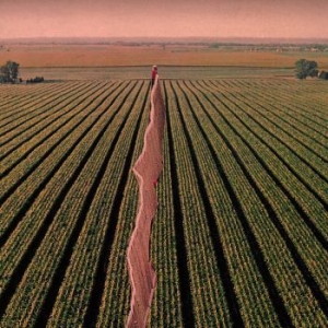 Possible Humans - Everybody Split i gruppen CD / Rock hos Bengans Skivbutik AB (3653827)