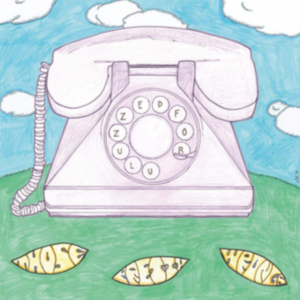 Those Pretty Wrongs - Zed For Zulu i gruppen VINYL / Pop-Rock hos Bengans Skivbutik AB (3653992)