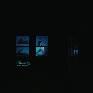 Field Mouse - Meaning i gruppen CD / Pop-Rock hos Bengans Skivbutik AB (3653997)
