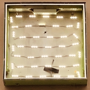 Oso Oso - Basking In The Glow i gruppen CD / Pop-Rock hos Bengans Skivbutik AB (3654019)