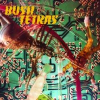 Bush Tetras - There Is A Hum i gruppen VINYL / Pop-Rock hos Bengans Skivbutik AB (3654084)