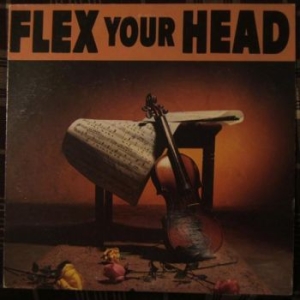 V/A - Indie Rock - Flex Your Head i gruppen VINYL / Pop-Rock hos Bengans Skivbutik AB (3656186)
