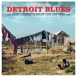 Various Artists - Esential Detroit Blues i gruppen ÖVRIGT / Övrigt / aub hos Bengans Skivbutik AB (3656242)