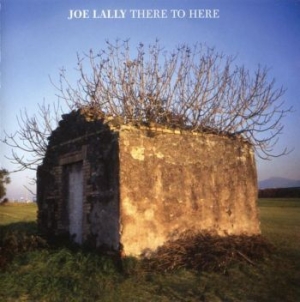 Lally Joe - There To Here i gruppen CD / Rock hos Bengans Skivbutik AB (3656394)