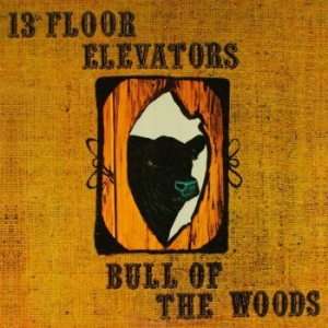 13Th Floor Elevator - Bull Of The Woods in the group CD / Rock at Bengans Skivbutik AB (3656592)