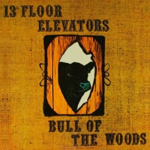 13Th Floor Elevator - Bull Of The Woods i gruppen CD / Pop-Rock hos Bengans Skivbutik AB (3656592)
