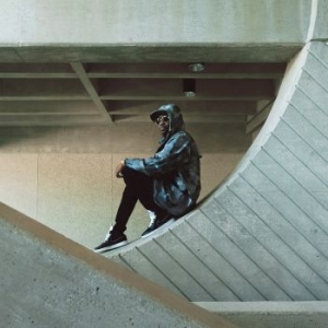 Busy Signal - Parts Of The Puzzle i gruppen VINYL / Reggae hos Bengans Skivbutik AB (3656902)