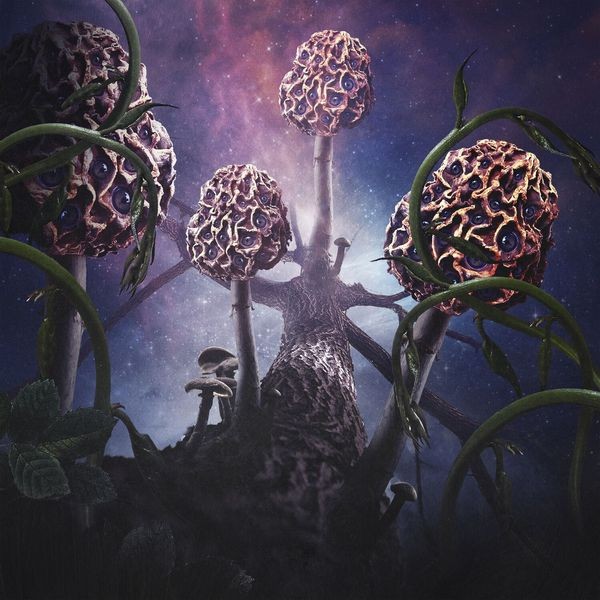 Blut Aus Nord - Hallucinogen i gruppen CD / Hårdrock/ Heavy metal hos Bengans Skivbutik AB (3657167)