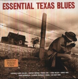 Blandade Artister - Essential Texas Blues (180 G) i gruppen VINYL / Jazz hos Bengans Skivbutik AB (3657208)