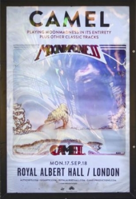 Camel - At The Royal Albert Hall 2018 i gruppen ÖVRIGT / Musik-DVD & Bluray hos Bengans Skivbutik AB (3657599)