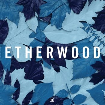 Etherwood - Blue Leaves i gruppen CD / Dans/Techno hos Bengans Skivbutik AB (3659197)