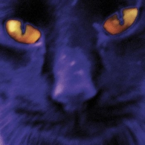 David Kilgour And The Heavy Eights - Bobbie's A Girl i gruppen CD / Rock hos Bengans Skivbutik AB (3665876)