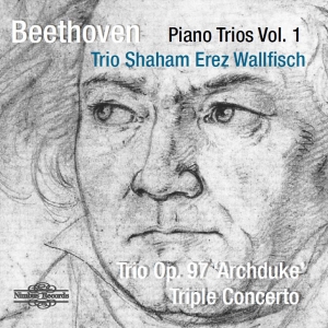 Beethoven Ludwig Van - Piano Trios Vol. 1: Archduke Trio & i gruppen Externt_Lager / Naxoslager hos Bengans Skivbutik AB (3665962)